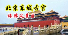 我想看黄色操逼逼中国北京-东城古宫旅游风景区